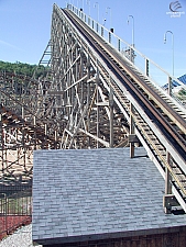 Ozark Wildcat
