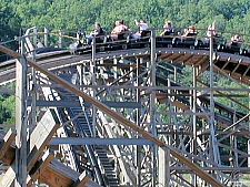 Ozark Wildcat