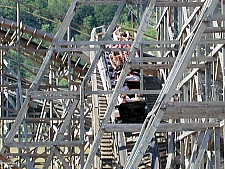 Ozark Wildcat