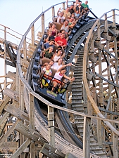 Ozark Wildcat