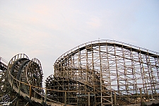 Ozark Wildcat