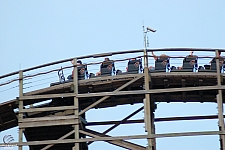 Ozark Wildcat
