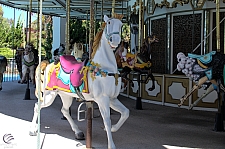 Carousel Columbia