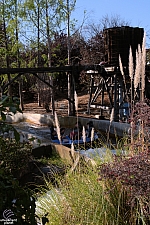 Rip Roaring Rapids