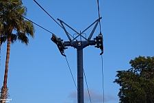 Delta Flyer / Eagle's Flight
