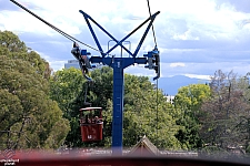 Delta Flyer / Eagle's Flight