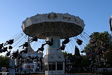 Celebration Swings