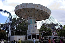 Celebration Swings