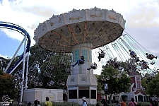 Celebration Swings