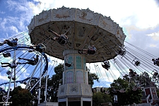 Celebration Swings