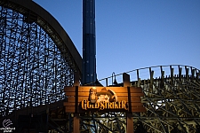 Gold Striker