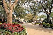 Cypress Gardens