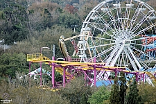 Cypress Gardens