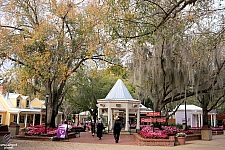 Cypress Gardens