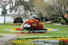 Cypress Gardens