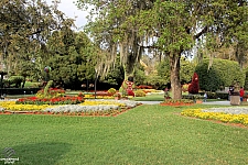 Cypress Gardens