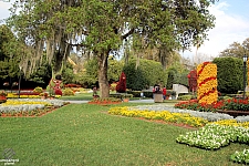 Cypress Gardens