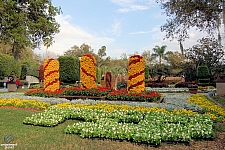 Cypress Gardens