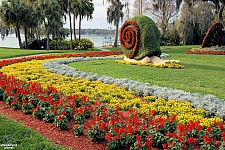 Cypress Gardens