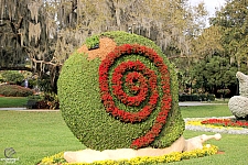 Cypress Gardens