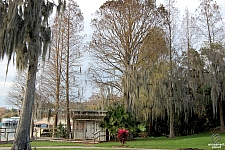 Cypress Gardens