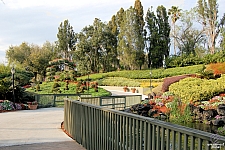 Cypress Gardens
