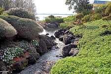 Cypress Gardens