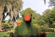 Cypress Gardens