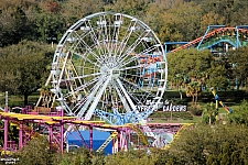 Paradise Sky Wheel