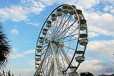Paradise Sky Wheel