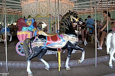 Antique Carousel