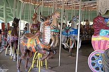 Antique Carousel