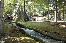 Policy Pond Log Flume