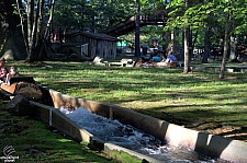 Policy Pond Log Flume