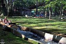 Policy Pond Log Flume