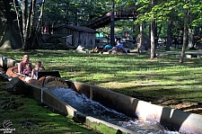 Policy Pond Log Flume