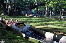 Policy Pond Log Flume