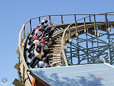 New Mexico Rattler