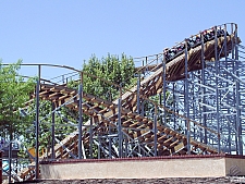 New Mexico Rattler
