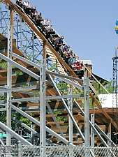 New Mexico Rattler