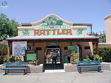 New Mexico Rattler