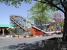 New Mexico Rattler