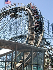 New Mexico Rattler