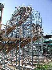 New Mexico Rattler
