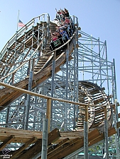 New Mexico Rattler