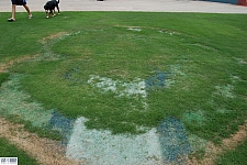 Cotton Bowl