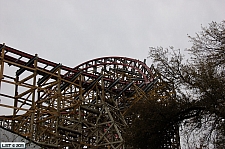 New Texas Giant