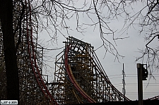 New Texas Giant