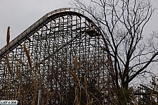 New Texas Giant