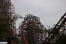 New Texas Giant